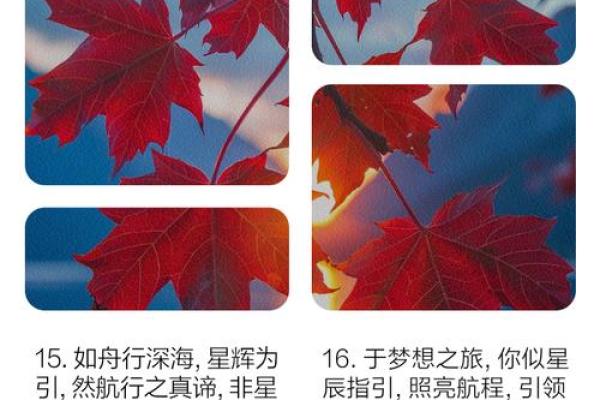 禇大海：海纳百川，大海航行靠舵手的吉祥人生
