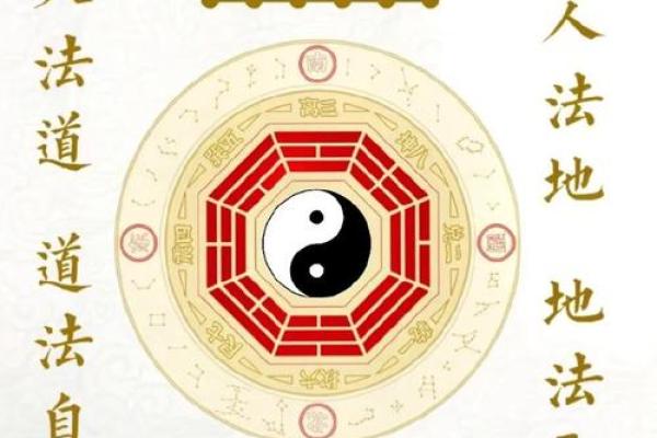 掌中乾坤，揭秘官运旺衰