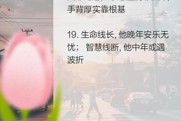 掌中乾坤，揭秘官运旺衰