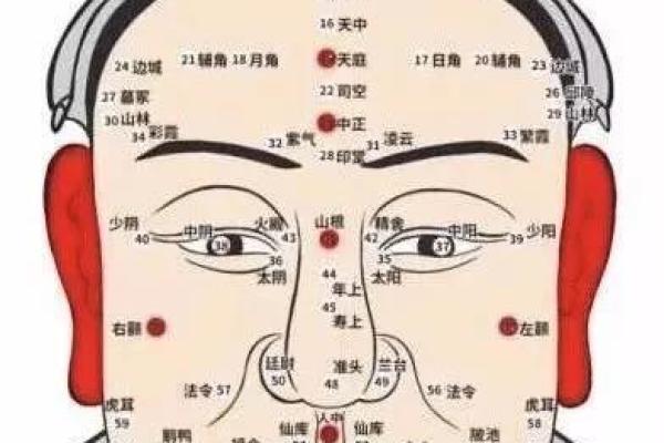 痣相大揭秘：你的命运线在哪里？