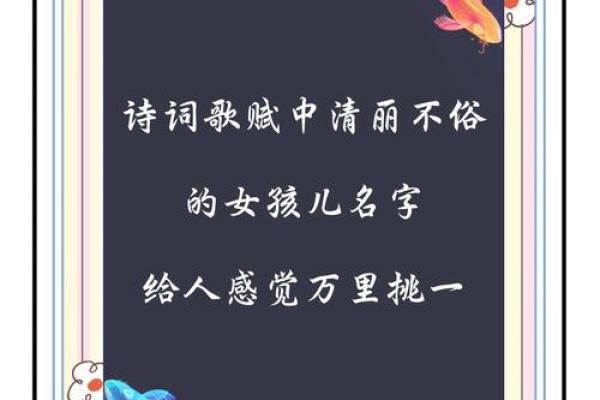 选取带有“丽”的名字，彰显优雅与魅力
