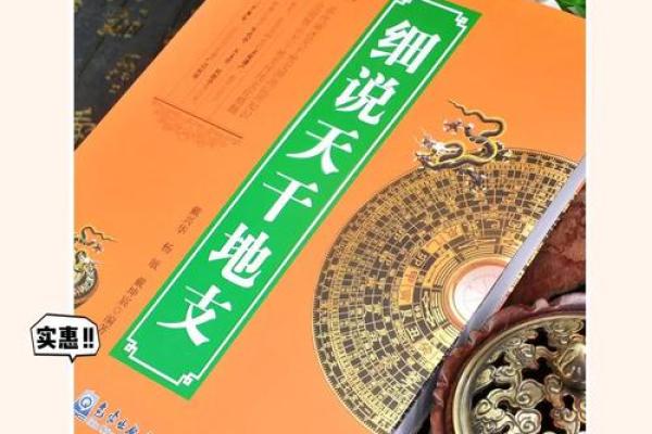 未知的魅力：揭秘地支未背后的文化底蕴