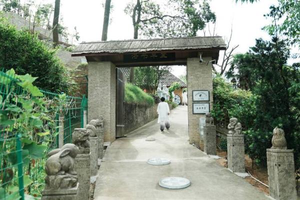易经养鱼风水学：打造和谐水景增运招财