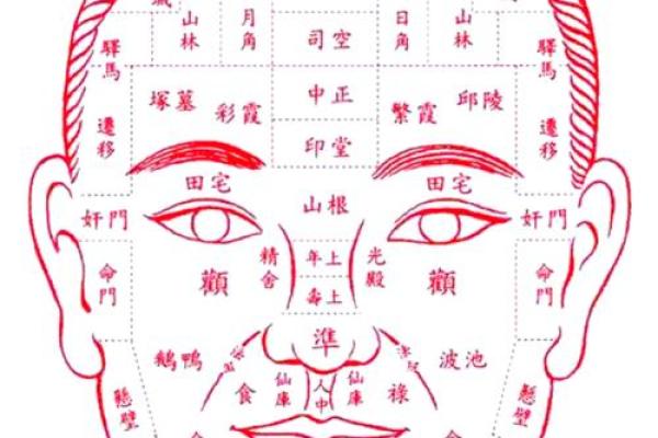 面部风水学详解：从面相看个人运势与命运走向