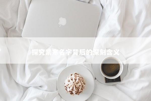 探究紫寒名字背后的深刻含义