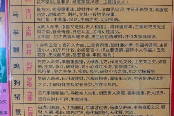 风水大师齐聚汕尾，家居风水排行榜带你走进神秘风水世界