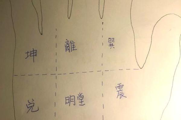 手掌坑洼解析：探寻生命中的隐藏天赋