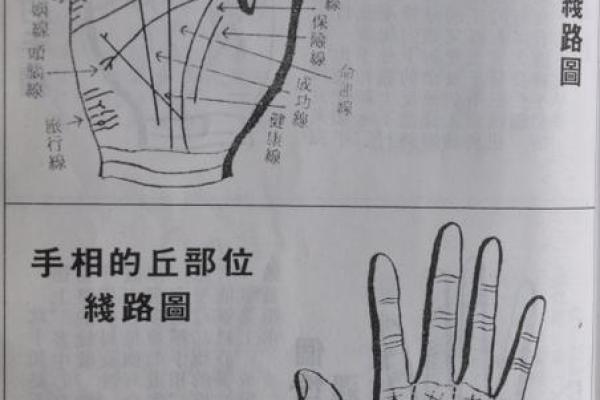 暴富手相秘籍大公开