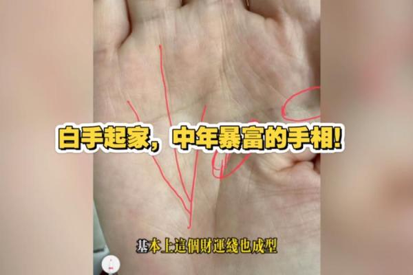 暴富手相秘籍大公开