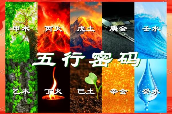 天地奥秘解码：揭秘天干地支的神奇力量