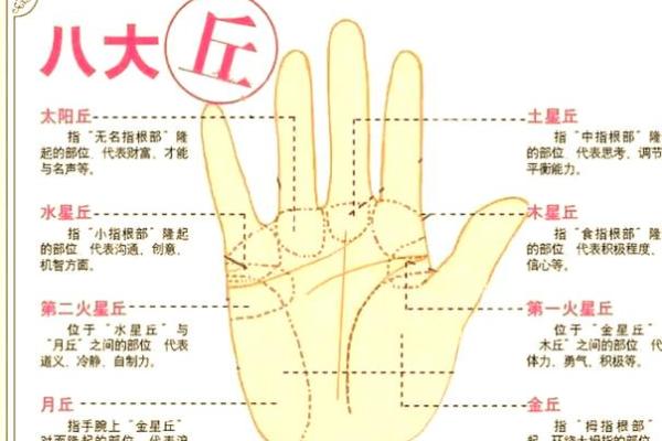 晚婚男人手相揭秘：事业有成背后的秘密