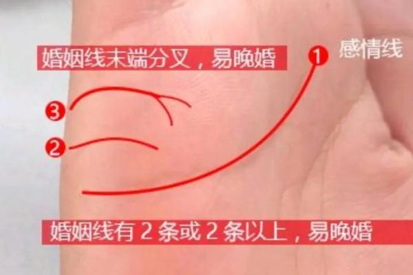 晚婚男人手相揭秘：事业有成背后的秘密