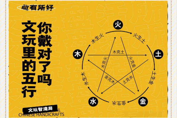 学校五行属性分析