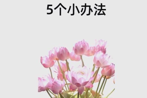 提升家庭运势的风水小妙招，你知道吗？