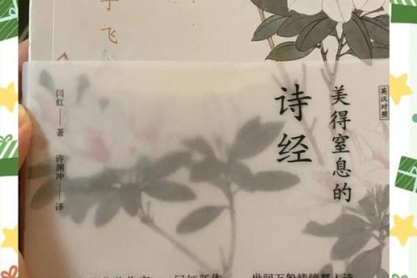 诗经韵味鼠宝宝名：古韵盎然，诗意盎然