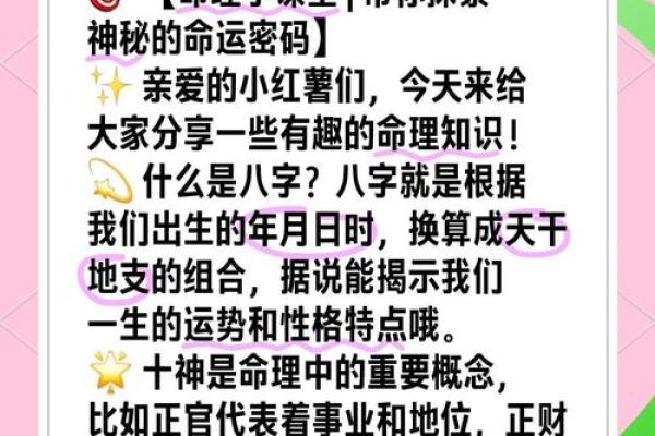 地支周期密码，揭开五年运势的神秘面纱