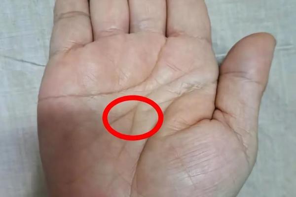 手相大师亲授：女性命运走势，手相解读让你知己知彼！