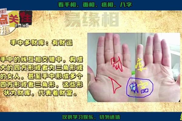 手相大师亲授：女性命运走势，手相解读让你知己知彼！