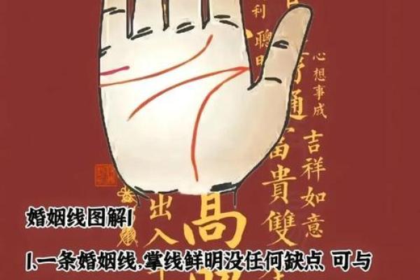 手相中线之谜，揭秘你的运势密码！