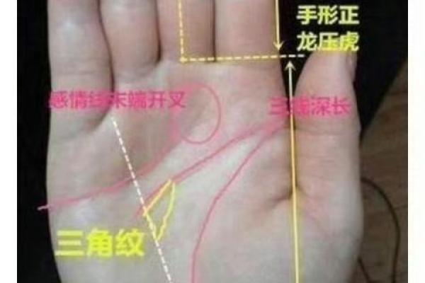 手相中线之谜，揭秘你的运势密码！