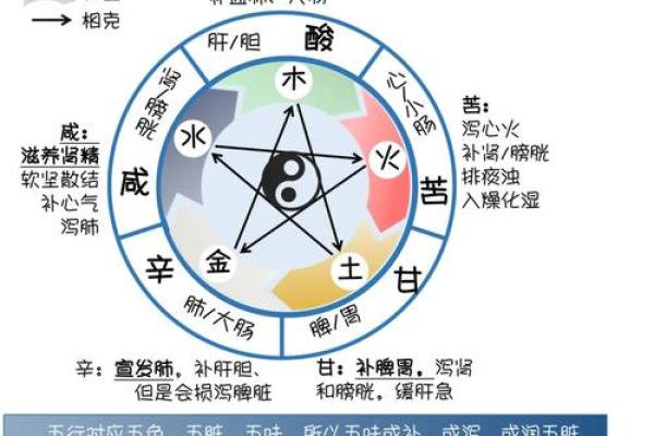 风水布局与五脏养生：打造健康家居的秘籍