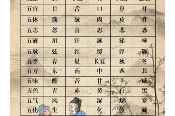 轻松掌握五行分类的记忆技巧