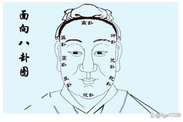 面相30年：揭秘面相中的财运密码