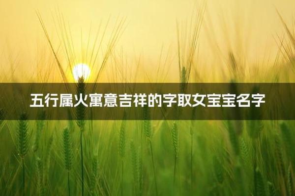映字五行分析与解读