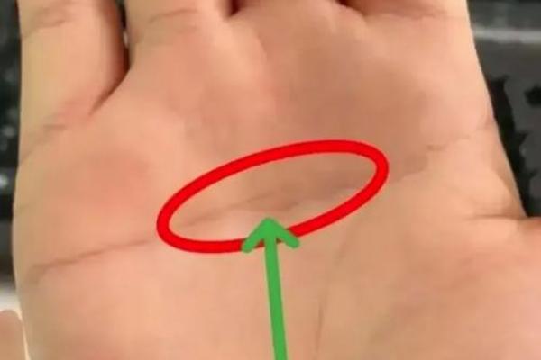 未来预警：手相面相揭示灾难征兆！
