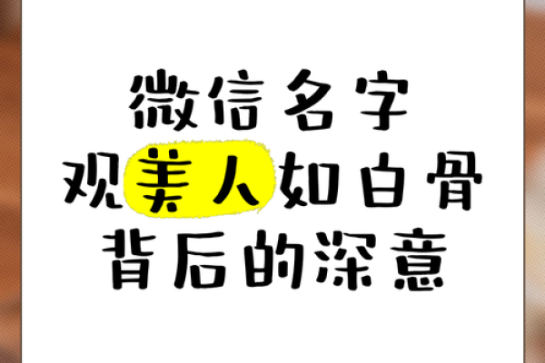 娜的微信名字背后的故事与含义