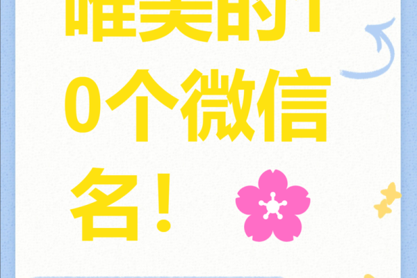娜的微信名字背后的故事与含义