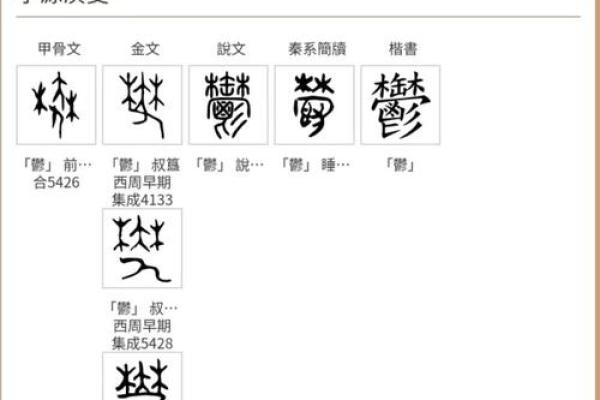 苏姓的起源与历史渊源探析