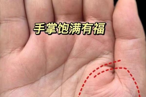 手掌中的秘密：揭秘命运之谜