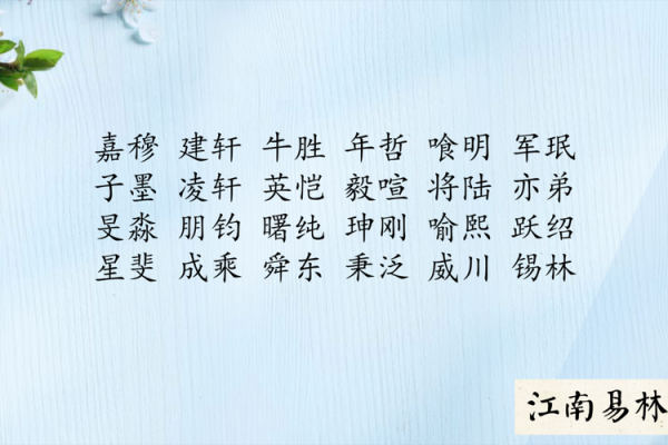 夜晚星辰，戌时宝宝独特名字精选