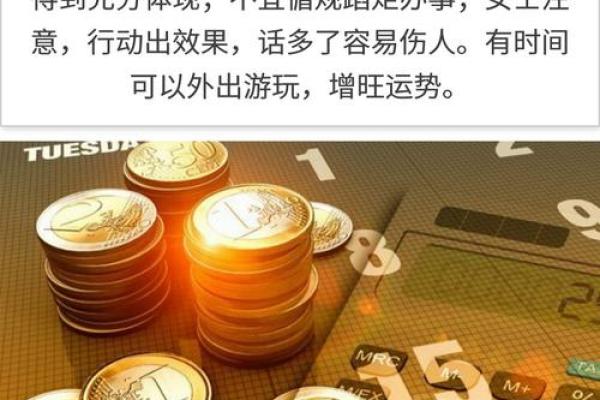 天元奥秘，解码生肖运势新篇章