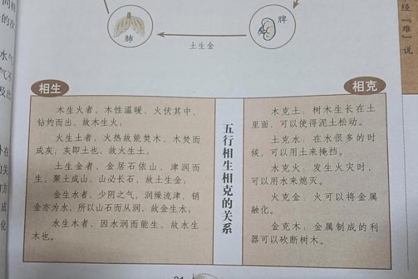 顺字的五行属性解析
