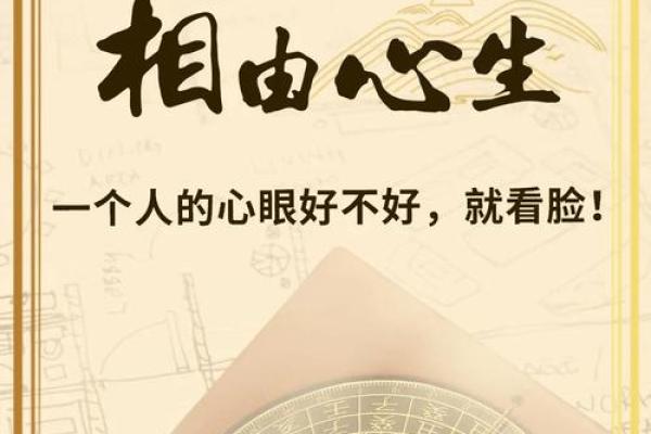 面相洞察：开启人生智慧之窗