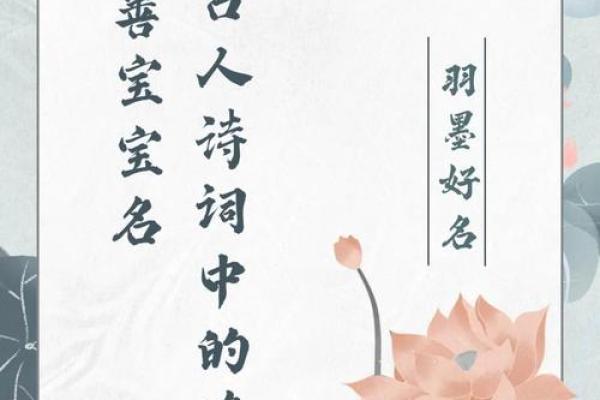 石韵悠长，宝宝好名选