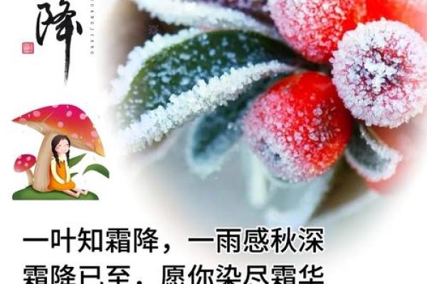 霜降时节，丰收祭礼暖人心