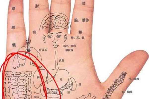 眼皮上的幸运符：揭秘上眼皮痣的神奇魅力