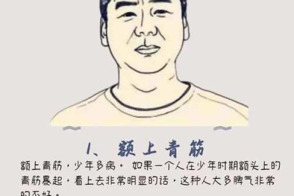 面相解析：揭秘尖头面相背后的秘密与影响