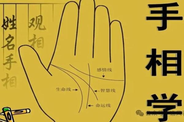 手相揭秘：婚姻运势准到让你惊叹！