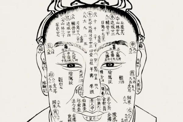 面相解码：揭秘你的事业宫，财运亨通的秘密！