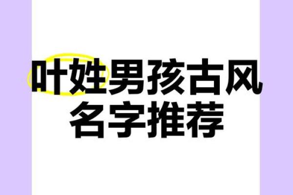 叶姓取名攻略：字里行间，塑造独特个性名孿