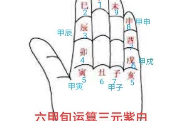地支揭秘：揭秘有夫的秘密