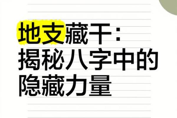 地支揭秘：揭秘有夫的秘密