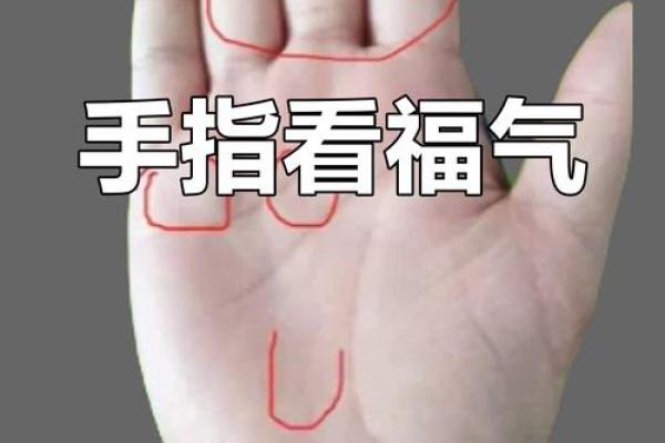 手相揭秘：小副线暗藏的财运秘密