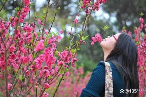 烂桃花预警：揭秘地支中的爱情陷阱