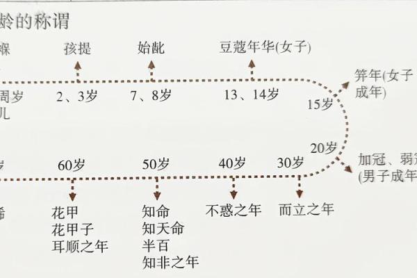 传统文化中的姓名象征与意义