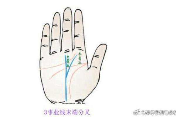 川手相揭秘：财运亨通，事业发达的秘密武器！